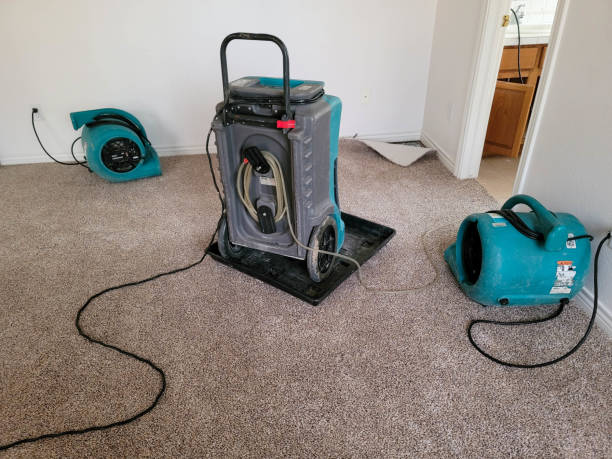 Best Professional water damage repair  in Wrightsville, GA