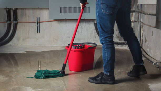 Best Water damage mitigation services  in Wrightsville, GA